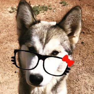 Meet your Posher, El CARNEL 😈